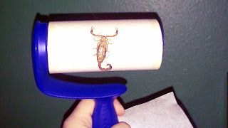 Use a lint roller to capture bugs