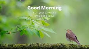 good morning good morning