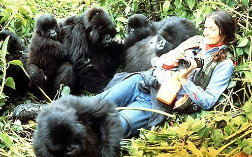 Dian Fossey 1932-1985 Αμερικανή ζωολόγος