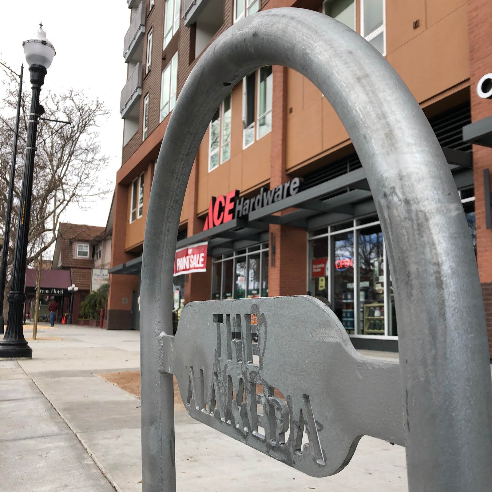 ace hardware bike rack