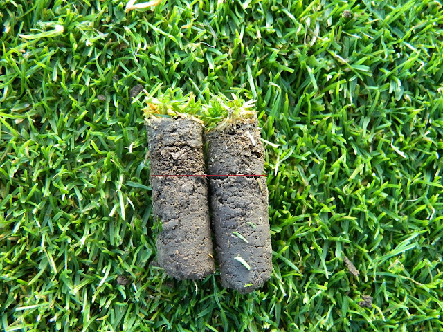 LGCC Golf Maintenance: Fairway Aerification