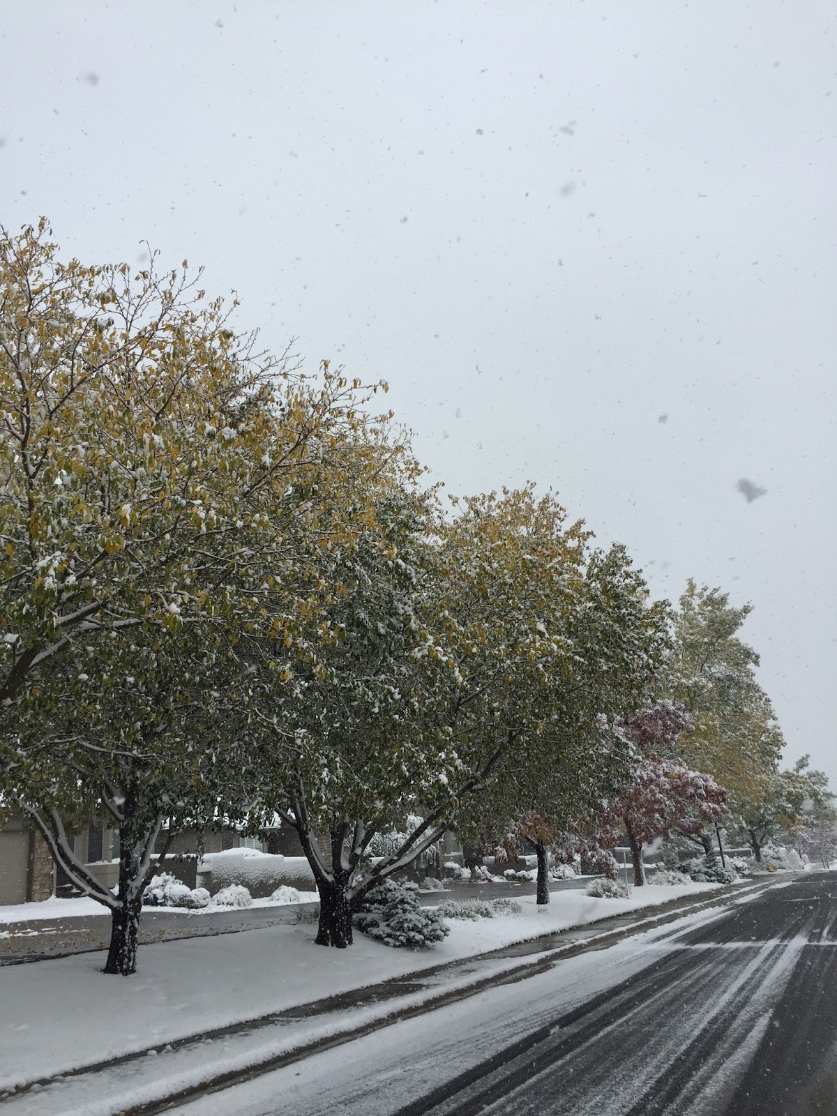 A New Day: October 2017