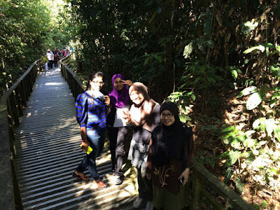 Tempat menarik di Sandakan: Sepilok Orangutan Rehabilitation Centre Sandakan