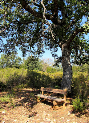 Senda la Viñuela. Rutas por el Parque Nacional de Cabañeros Paisajes Senda la Viñuela