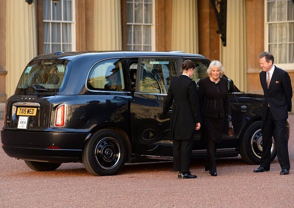 Buckingham Palace for the London Taxi Drivers' Charity for Children