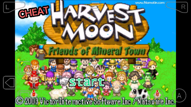 Cheat Harvest Moon Friends of Mineral Town