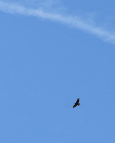 Interviews Aus Dem Literaturbetrieb