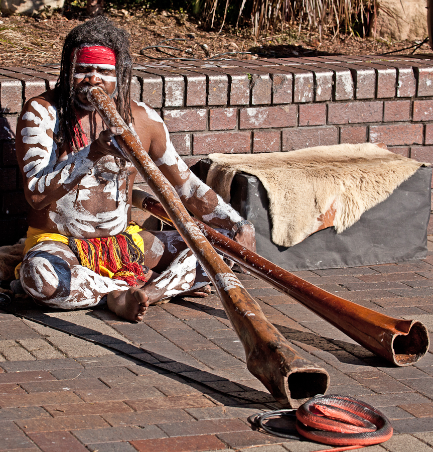 What Karen Sees Play Your Didgeridoo, Blue