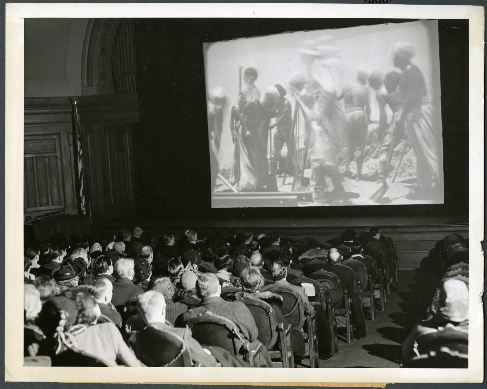 BAM blog Under Our (BAM Film) Umbrella