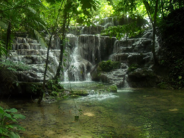 Touring Mexican Jungle