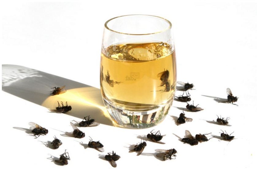 Comment se débarrasser des mouches ?