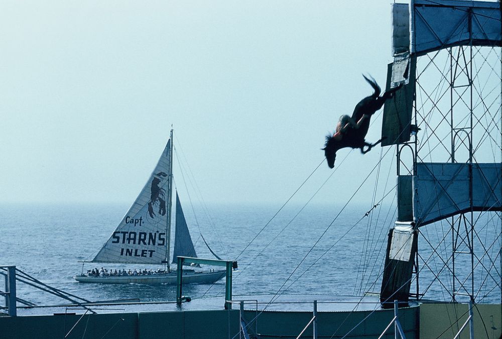20 Incredible Vintage Photographs of Women Diving Horses in Atlantic City From the Early 20th