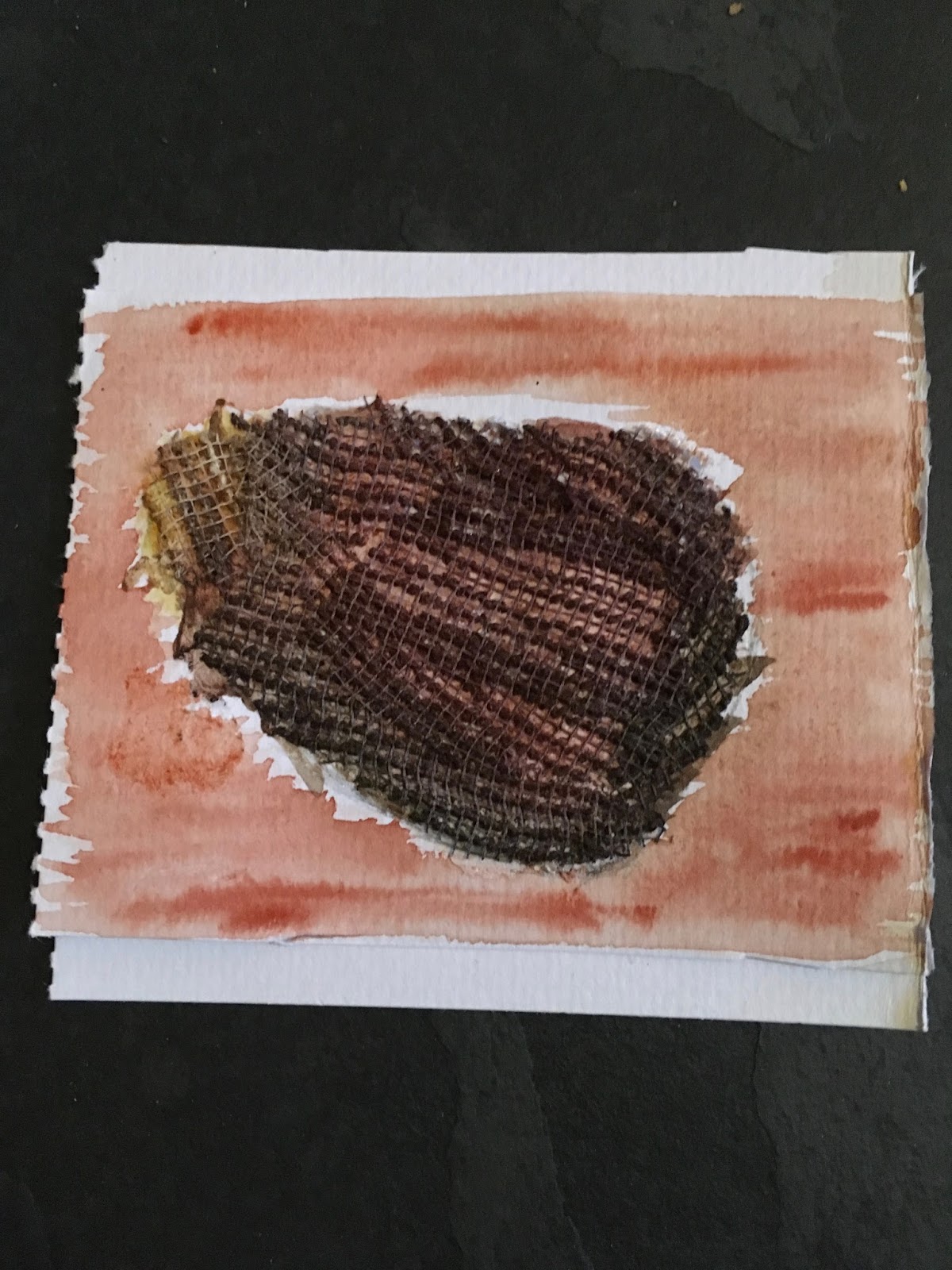 Sovereign Foundations, Empowered for Purpose Tales of a mustard seed