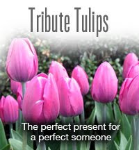 Wedding Tribute Tulips
