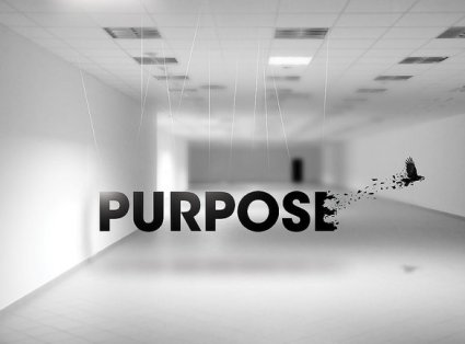 Purpose | 5 Major Areas of Web Design