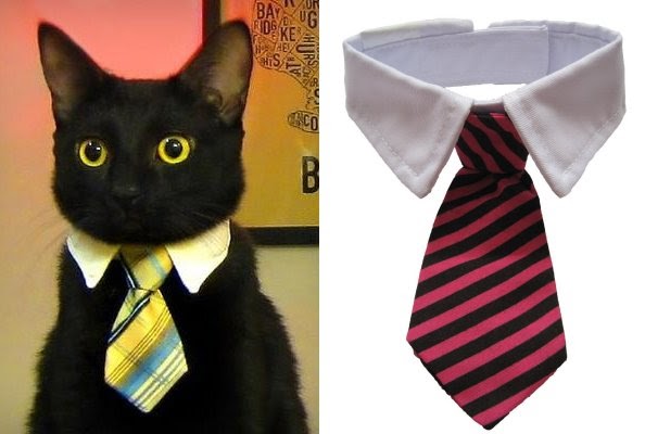 Gambar Gambar Kucing Pakai Tali Leher Tie Kucing Berkolar Memang Comel Kongxie Kongsi Artikel Dan Berita Berinformasi Gambar Video Resepi Dan Cerita Lawak