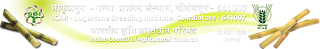 Sugarcane Breeding Institute Coimbatore Recruitment 2018