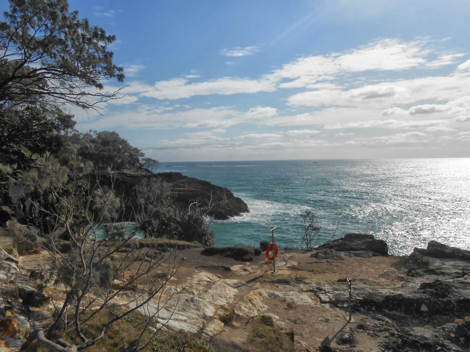 Australia the Sequel Whale watching at North Stradbroke Isand