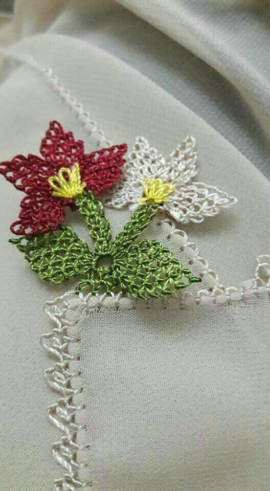 Moda Orgu El Isleri Kendin Yap Dekorasyon Hobiler 2018 Igne Oyasi Yazma Kenari Modelleri