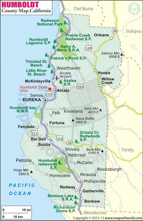California Court Of Appeal Warns Government Not To Interfere With california-court-of-appeal-warns-government-not-to-interfere-with