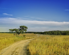 Landscape HD Wallpaper 