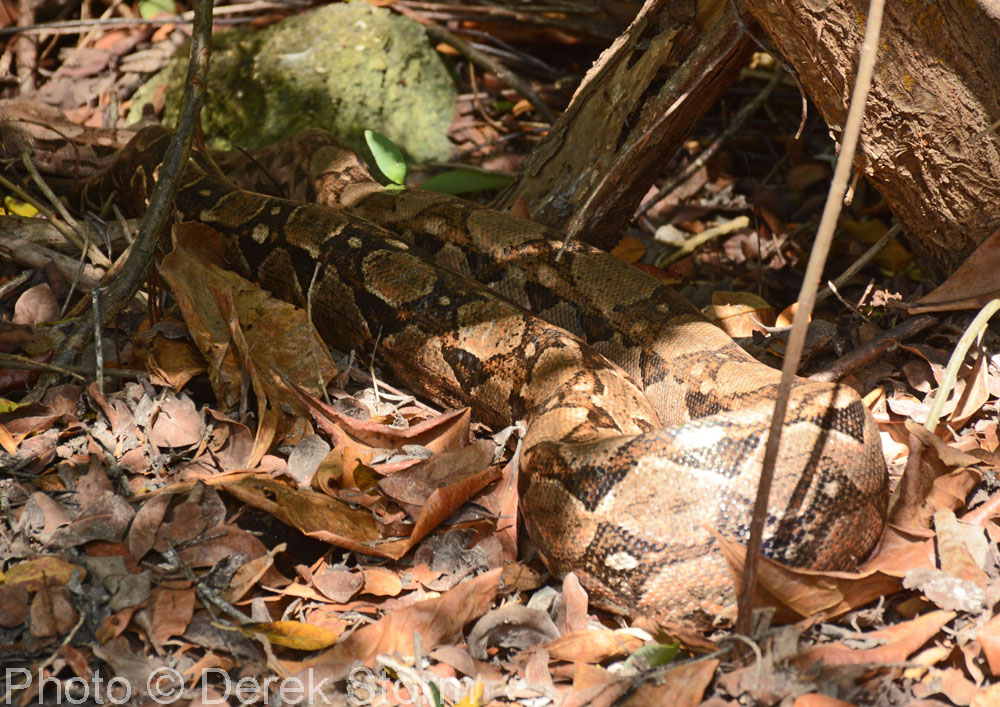 In the News Tulum, Akumal and Cancun