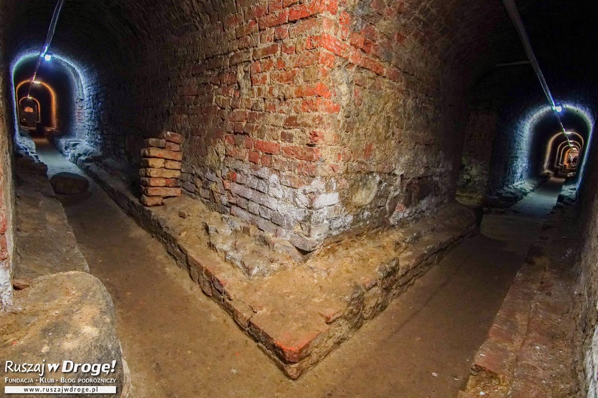 Pomorskie Powiśle, Żuławy i Mierzeja Wiślana co warto zobaczyć w 8 dni?