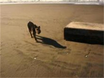 Strange Metal Boxes and UFO Sighting Appear Along West Coast ~ The ...