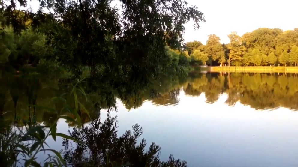 Летнее озеро в калининграде