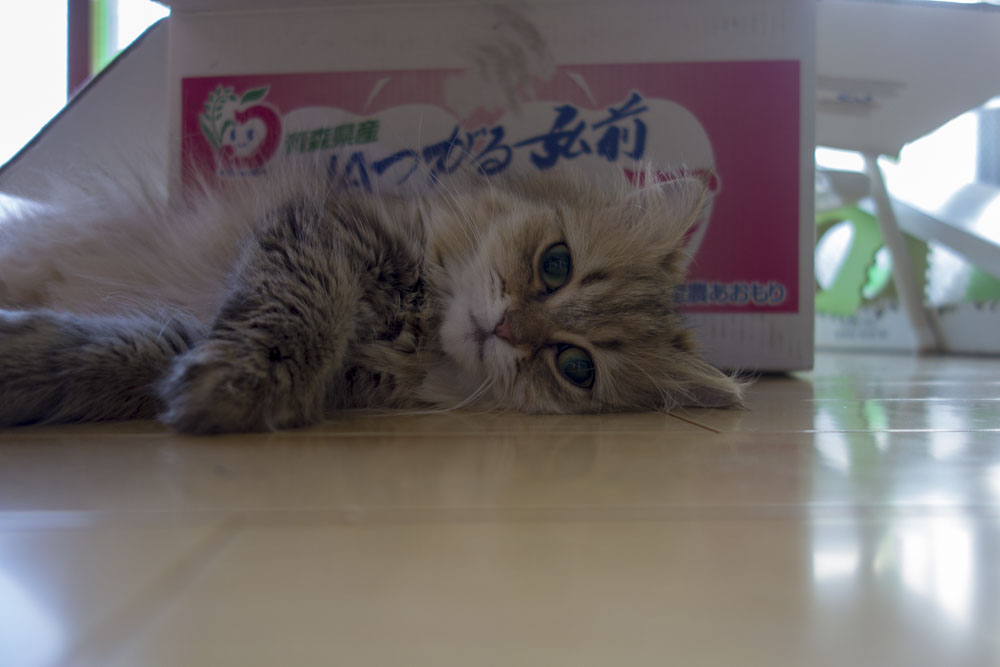 イメージ