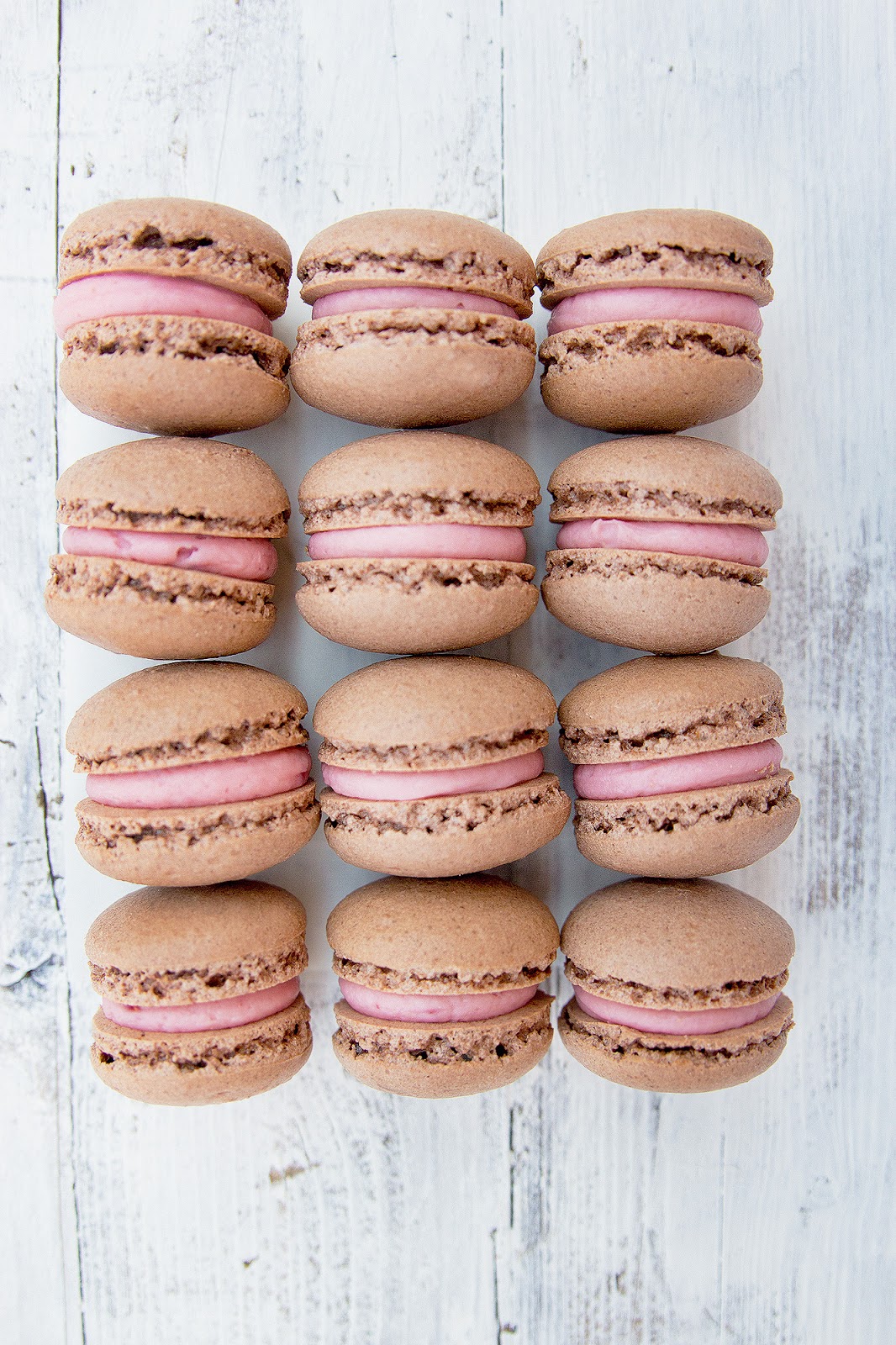 How to make Chocolate Macarons; + tips Irma Zesty Oranges