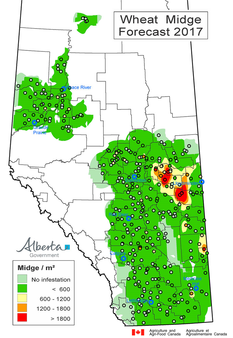 Prairie Pest Monitoring Network Blog 2017 Wheat Midge Forecast Map for