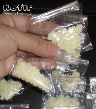 Kefir Alimento Probiótico