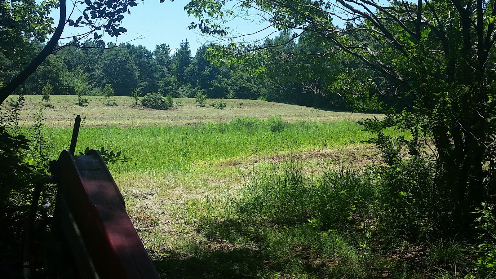 Dewberry Lands Happenings Around on Dewberry Lands