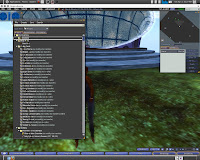 kokua viewer bug kokua viewer bug