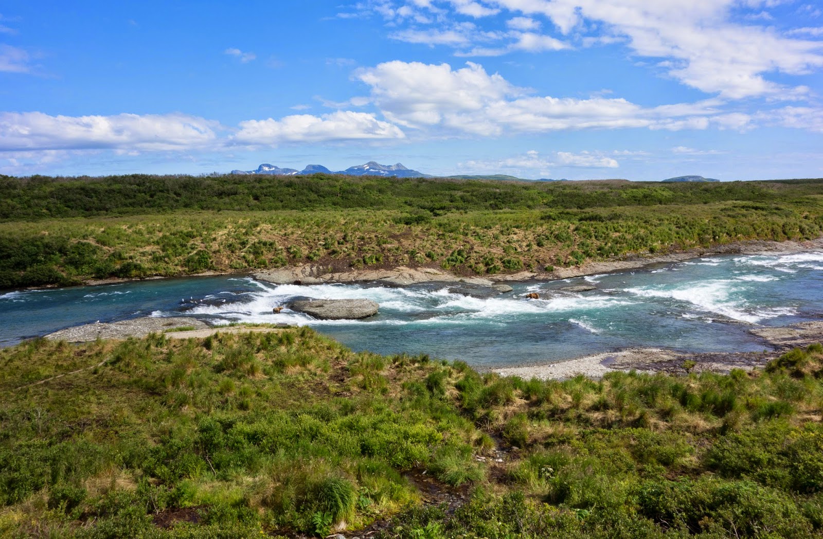 Jeremy Bears McNeil River Sanctuary Introduction, July 2014