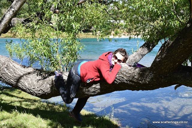 Clutha River, Albertown, Wanaka New Zealand
