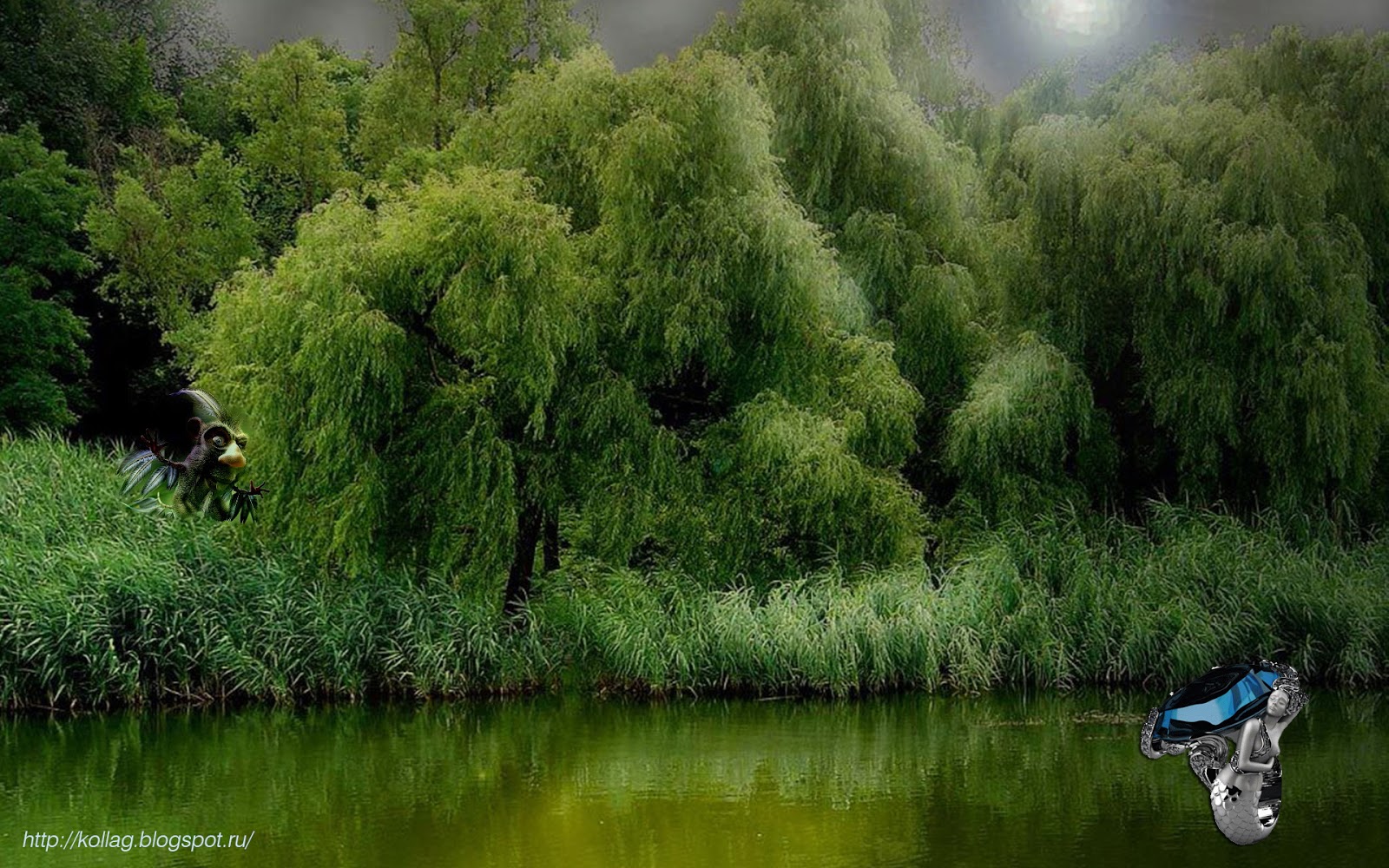 Над речкой ива свесила зеленую. Ива Ракита над рекой. Плакучая Ива над озером. Ива Болотная. Куст Ракиты.