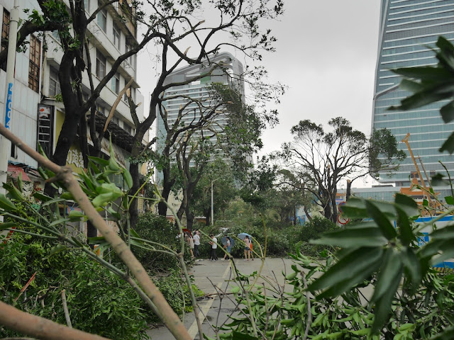 Looking east down Qiaoguang Road from the intersection with Lianhua Road in Zhuhai