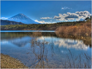 ทะเลสาบทั้งห้าแห่งฟูจิ (Fuji Five Lakes)