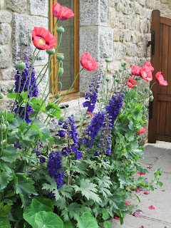 Poppies and delphiniums