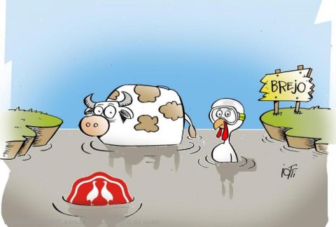 iotti2.jpg (480Ã324)