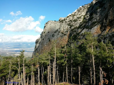 Yukarı Kızılca Köyü