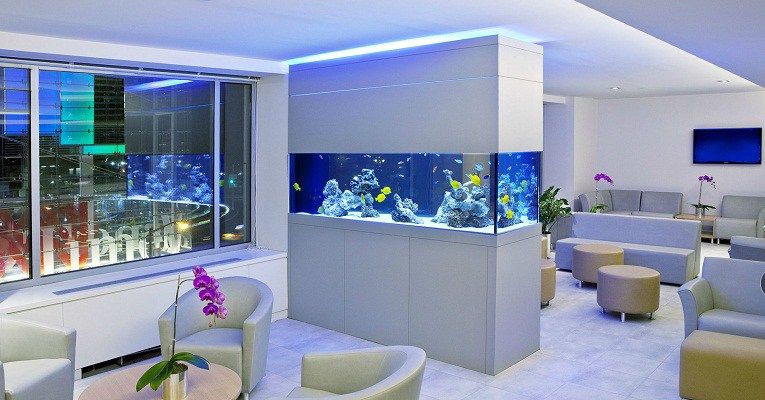 46 Desain Aquarium Cantik Dan Unik Anti Mainstream Rumahku Unik