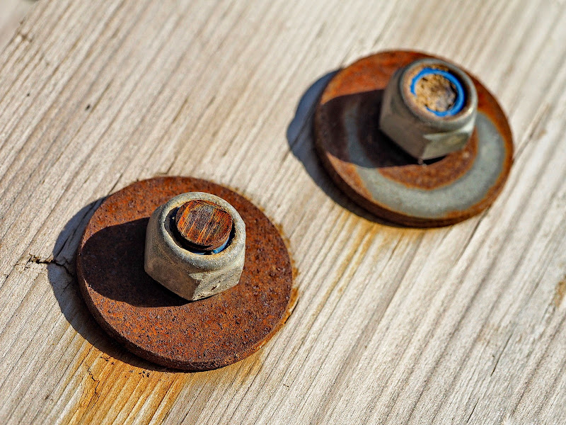 Olympus OMD EM1 + M.Zuiko 60 Macro a 60 (120) mm • ISO 200 • 1/500 • f/7,1