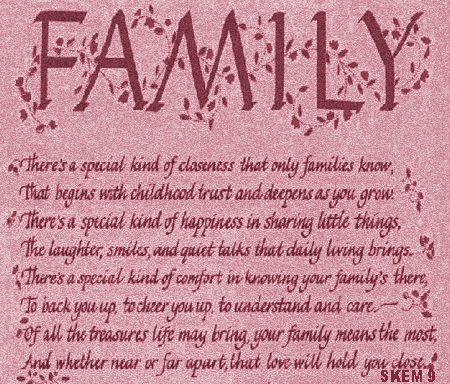 what family means to me essay to what extent essay perfect family essay