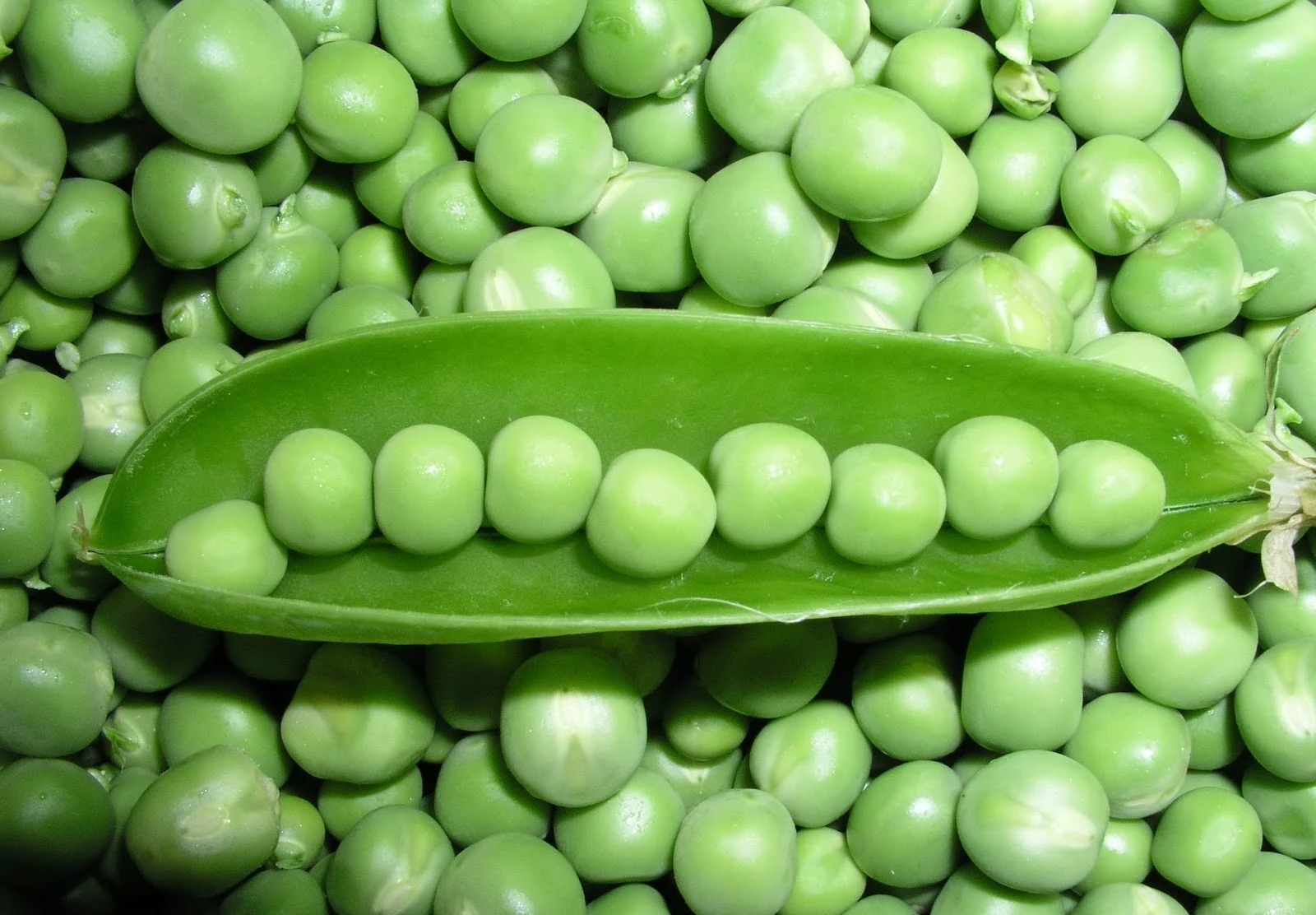 Pea Soup with Extra-Virgin Olive Oil Drizzle
