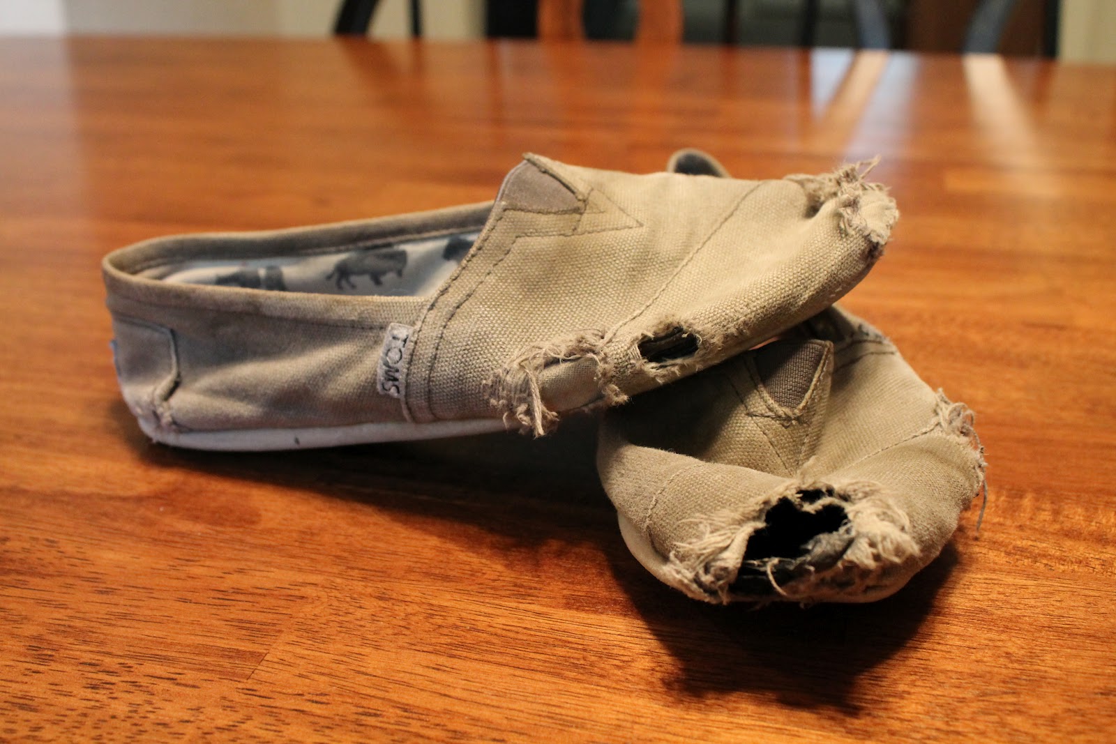 Watercolor Problems. Destructed TOMS Shoes