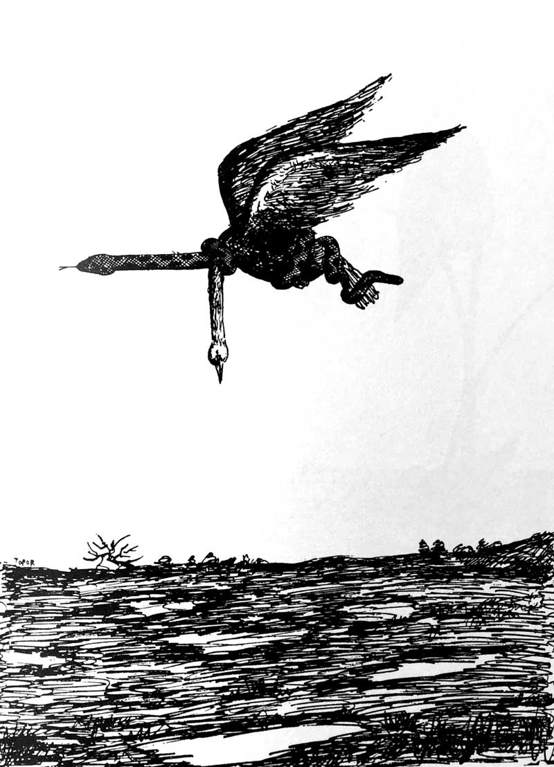 ECC Cartoonbooks Club: Roland Topor - Dessins