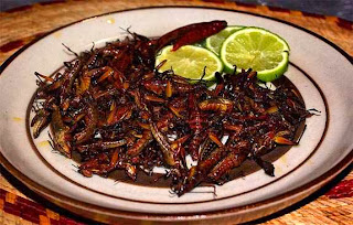 Insects as a food - Chapulines